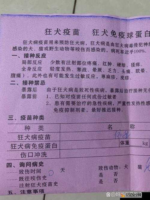 咬小兔兔的视频教程：详细步骤与技巧分享