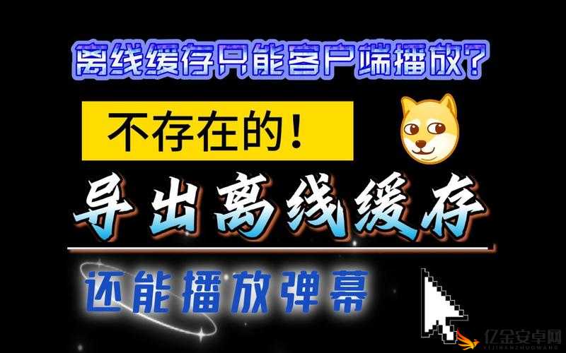 B站视频离线观看技巧全解：详细步骤与实用指南