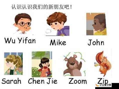 Zoom 会议里的动物世界：美国 Zoom 与动物 Zoom 的奇妙碰撞